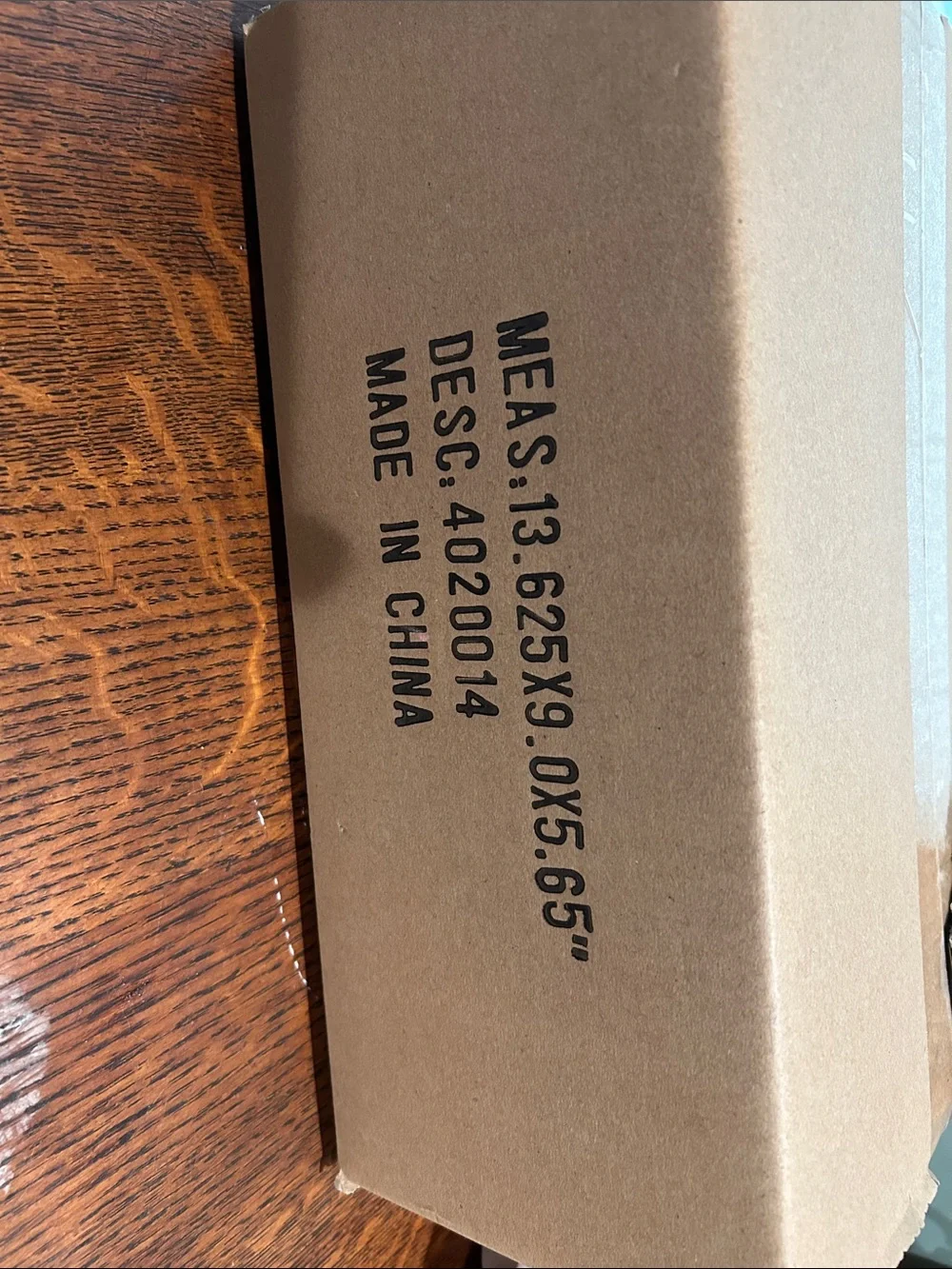 New in unopened box Brighton Black G40 Clear Globe String Lights Indoor/Outdoor